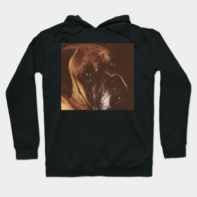 Our Boxer.Quino Hoodie by robelf